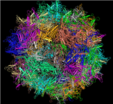 Thumbnail image of the Adeno-associated Virus Serotype 6 (Aav-6), in which the data from the three PDB split files have been merged together to provide a 3D view of the complete structure, shown here in MMDB ID 99554. The entire structure and its sequence data can be viewed interactively with the free stand-alone Cn3D program, or with the free web-based iCn3D program.