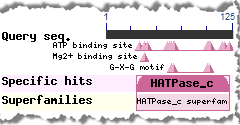 Thumbnail image of the small triangles displayed in CD-Search results.  The triangles point to specific residues involved in conserved features, such as binding and catalytic sites, as mapped from a conserved domain to the query protein sequence (NP_081086, mouse DNA mismatch repair protein Mlh1). Click on image to jump to a larger, annotated version in the CD-Search help document.