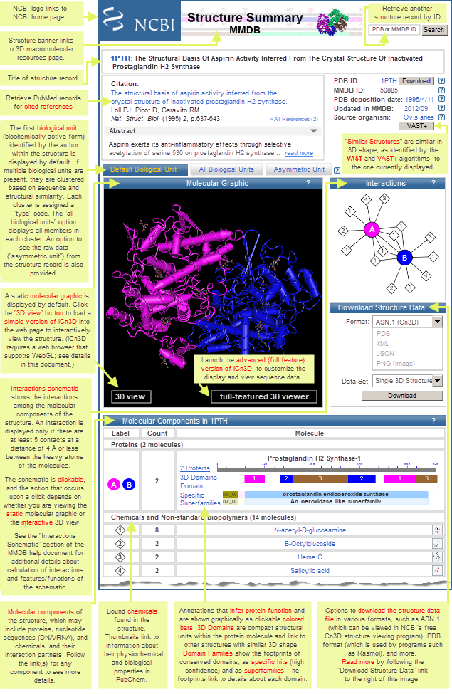 Annotated image of sample structure summary page, for sheep prostaglandin H2 synthase (MMDB ID 50885, PDB ID 1PTH). The READ MORE ABOUT column to the right of the image provides more details about each feature. Click on the image to open the live structure summary page in MMDB.
