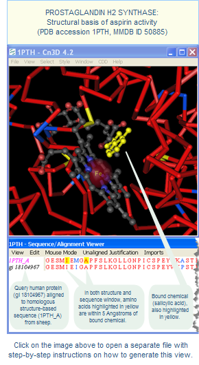 Thumbnail image showing a human query protein sequence aligned to a homologous sheep sequence that has a resolved 3D structure, viewed in the free Cn3D software program. Amino acids within 5 Angstroms of the bound chemical, salicylic acid, are highlighted in yellow in both the structure and sequence window. Click on the image to open a separate file with step by step instructions on how to generate this view.