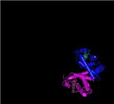 3D view of the raw data for human hemoglobin submitted in PDB record 1LFT, which contains half of the structure's biological unit (that is, half of the hemoglobin tetramer). Click on the thumbnail to open the asymmetric unit view in MMDB, where you can choose to view the biological unit and/or launch an interactive 3D view, and then color by molecule as shown here.