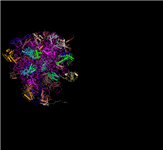 Second of four PDB split files for the ribosome structure by Nobel Laureate Ramakrishnan, showing the 3D view for the portion of the structure that is in PDB record 2XG0