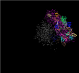 Third of four PDB split files for the ribosome structure by Nobel Laureate Ramakrishnan, showing the 3D view for the portion of the structure that is in PDB record 2XG1.