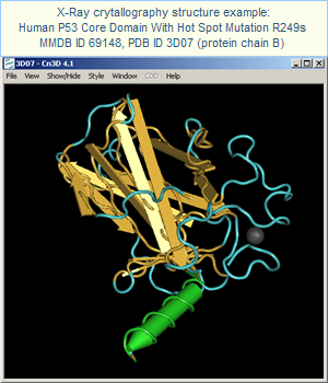 X-Ray crytallography structure of Human P53 Core Domain With Hot Spot Mutation R249s (MMDB ID 69148, PDB ID 3D07), Protein Molecule B, showing alpha helix (green) and beta strand (yellow) secondary structures, disordered regions (blue), and Zinc ion. Click on this image to open the MMDB record, which provides access to the corresponding publication and interactive views of the structure in Cn3D.