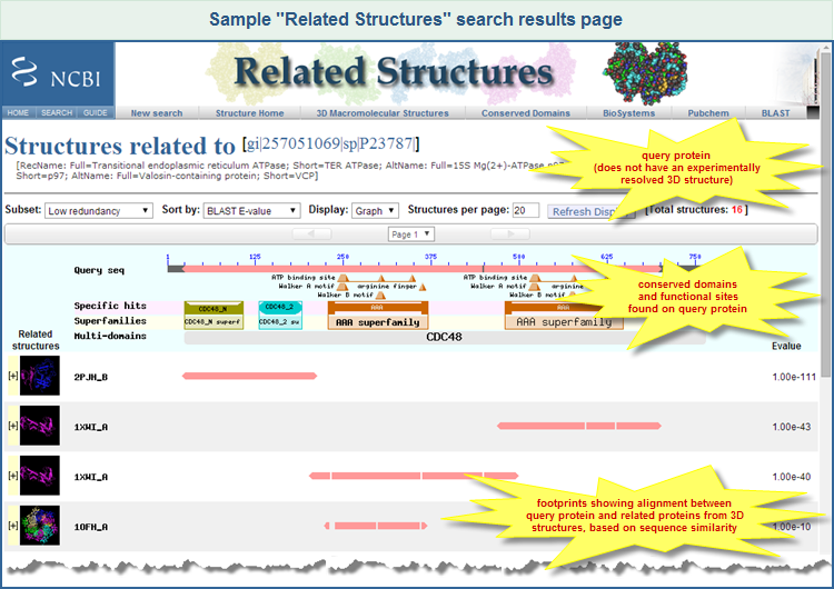 Illustrated example of Related Structures search results for the query protein sequence GI 257051069, Transitional endoplasmic reticulum ATPase from Xenopus laevis. Click on the image to open the live Related Structures search results page.
