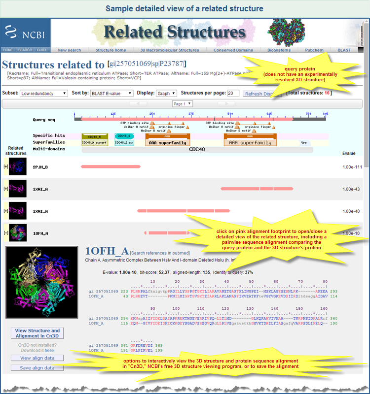 Example of a detailed view for one of the structures that is related to the query protein sequence: GI 257051069, Transitional endoplasmic reticulum ATPase from Xenopus laevis. Click on the image to open the live Related Structures search results page, where you can scroll to 1OFH_A, the protein shown in this example, and look at the detailed view on the live web page.
