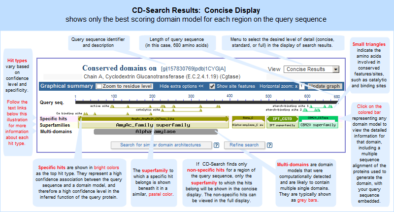 CD-Search results concise display (default), which shows only the top-scoring hits for each region of the query sequence (1CYG_A, GI 157830769, Cyclodextrin Glucanotransferase) as of October 22, 2014. Click anywhere on the graphic to open the current, interactive CD-Search results page. Note that the live web page may look different from the illustration shown here, because the Conserved Domain Database continues to evolve with the addition of new data and the refinement of algorithms to identify specific hits and superfamilies. However, the concepts shown in the illustration remain stable.
