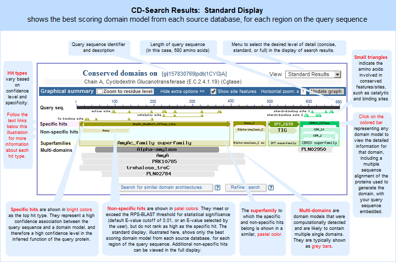 CD-Search standard results display, which shows the top-scoring hit from each source database for each region of the query sequence (1CYG_A, GI 157830769, Cyclodextrin Glucanotransferase) as of October 22, 2014. Click anywhere on the graphic to open the current, interactive CD-Search results page. Note that the live web page may look different from the illustration shown here, because the Conserved Domain Database continues to evolve with the addition of new data and the refinement of algorithms to identify specific hits and superfamilies. However, the concepts shown in the illustration remain stable.