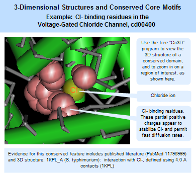 Example of 3-dimensional structure: Cl- binding residues in Voltage-Gated Chloride Channel, cd00400. Click anywhere on the image to open the complete, interactive record for this domain model in the Conserved Domain Database (CDD). From there, you can open an interactive version of the 3D structure, with conserved feature annotations, in the free Cn3D structure viewing program.