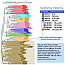 Thumbnail image of domain hierarchy showing divergence in a protein family based on phylogenetic relationships of protein sequences and functional properties.  Click on image to jump to a larger, annotated version in this help document.