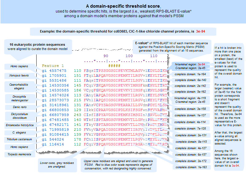 Method for determining the domain-specific E-value threshold score for RPS-BLAST.  Each protein sequence that was used to curate a domain model is RPS-BLASTed against the domain model's PSSM.  The highest (i.e., weakest E-value) among the member sequences is the domain-specific Threshold score. If a protein query sequence is RPS_BLASTed against CDD and receives an E-value score equal to or lower than the threshold, that protein is considered a specific hit.