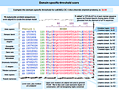 Thumbnail image that shows the method for determining the domain-specific E-value threshold score for RPS-BLAST.  Each protein sequence that was used to curate a domain model is RPS-BLASTed against the domain model's PSSM.  The highest (i.e., weakest E-value) among the member sequences is the domain-specific Threshold score. If a protein query sequence is RPS_BLASTed against CDD and receives an E-value score equal to or lower than the threshold, that protein is considered a specific hit..  Click on image to jump to a larger, annotated version in this help document.