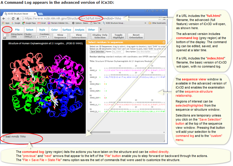 Illustration showing the structure of 1HHO (human oxyhemoglobin) loaded into the advanced version of iCn3D, which includes a command log that records the steps you have taken on the structure. The File/Save File/State File menu option can be used to save the set of commands that were used to customize the view of the structure, so the same view can be opened at a later time.