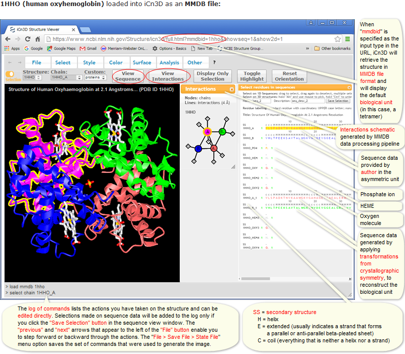 Example of a single structure, 1HHO (human oxyhemoglobin), imported into iCn3D in MMDB file format, which shows the default biological unit, along with an interaction schematic and corresponding sequence data. Click on the image to open the live view in iCn3D.