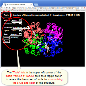 Thumbnail image showing the basic (simple) version of iCn3D, featuring the structure for 1HHO, human oxyhemoglobin. Click on the image to read more.