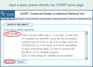 Illustration of the CDART home page, where you can input a query either as protein, a set of conserved domains, or as multiple queries. Click on this image for details and examples.