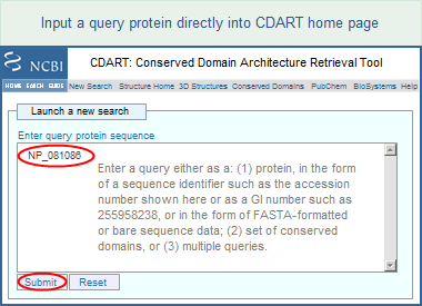 Illustration of the CDART home page, where you can input a query either as protein, a set of conserved domains, or as multiple queries. See the corresponding text for details and examples. Click on this image to see the complete illustration of the steps in using CDART, featured in the Quick Start Guide.