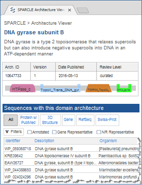 Sample SPARCLE record, showing the name and functional label of the conserved domain architecture found in the protein query sequence, NP_387887, DNA gyrase subunit B from Bacillus subtilis. The SPARCLE record also lists supporting evidence and links to other proteins with the same architecture. Click on the image to read more about SPARCLE records.