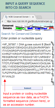 Step 1 in using SPARCLE: Enter a query protein sequence into the CD-Search tool. Click on this graphic to open the CD-Search tool and input your own query protein sequence.