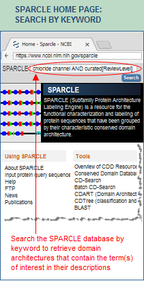 Step 1 in searching the SPARCLE database by keyword: Enter the desired search terms in the query box, adding curated[ReviewLevel], if desired, to limit results to curated domain architectures. Click on this graphic to open the SPARCLE home and input your own search terms.