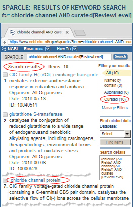 Step 2 in searching the SPARCLE database by keyword: View the search results and click on the architecture ID of any domain architecture of interest to open its summary page.  Click on this graphic to open the results of a SPARCLE search for chloride channel AND curated[ReviewLevel].