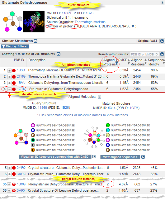 Detailed comparison of a query structure and a VAST+ similar structure, listing names of aligned molecules and alignment statistics, for the alignment of 1B26 (Glutamate Dehydrogenase from Thermotoga maritima) and 1GTM (Glutamate Dehydrogenase from Pyrococcus furiosus). Click on the image to open a live web page with VAST+ results for 1B26.
