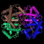 Molecular graphic for 1HBB: High-resolution X-ray Study of Deoxyhemoglobin Rothschild 37beta Trp-> Arg: a Mutation That Creates an Intersubunit Chloride-binding Site (human hemoglobin).